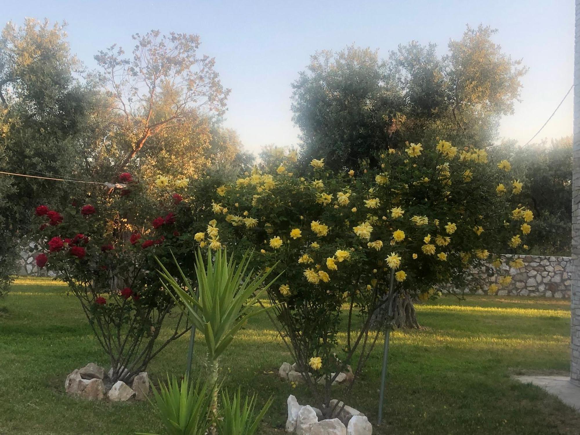 Villa Arhondula 프리노스 외부 사진