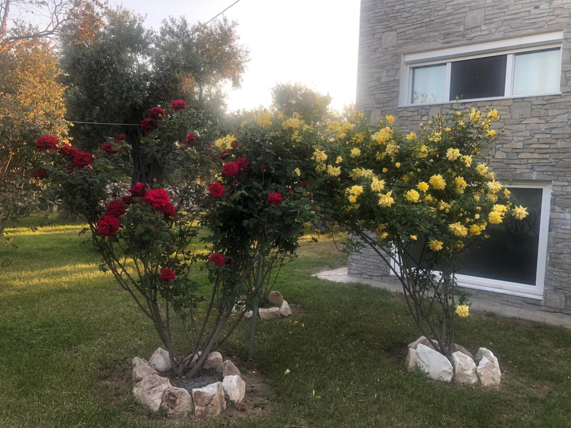 Villa Arhondula 프리노스 외부 사진